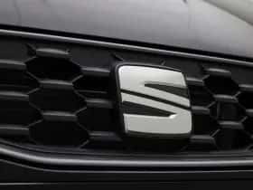SEAT Ibiza (2026) thumbnail 38