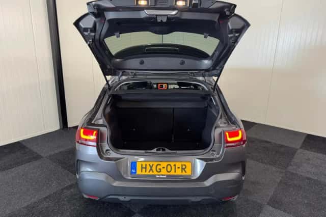 Citroën C4 Cactus (2020) thumbnail 6