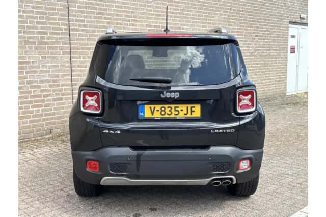 Jeep Renegade (2017) thumbnail 6