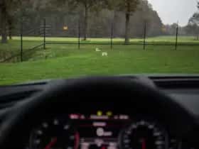 Audi RS6 (2015) thumbnail 13