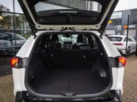 Toyota RAV4 (2021) thumbnail 25