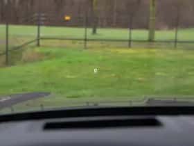 Porsche Cayenne (2023) thumbnail 6
