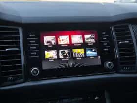 Škoda Kodiaq (2019) thumbnail 19