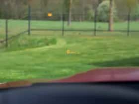BMW X6 (2012) thumbnail 6