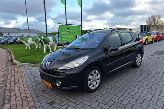 Peugeot 207 (2007) thumbnail 1