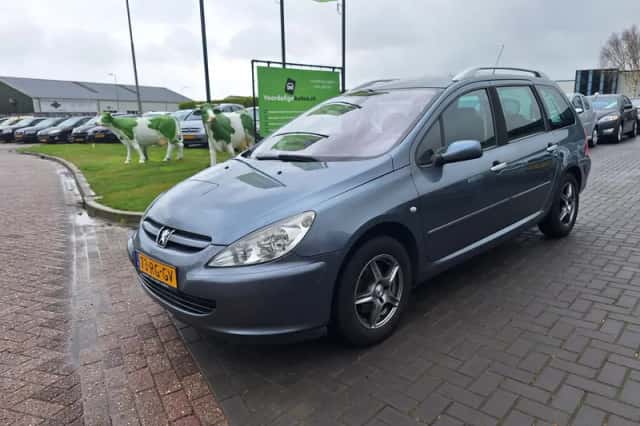 Peugeot 307 SW (2005) thumbnail 1