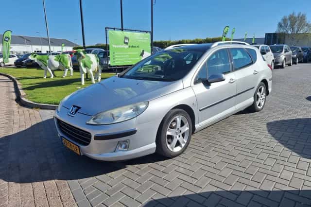 Peugeot 407 (2006) thumbnail 1
