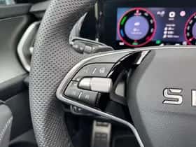 Škoda Kodiaq (2026) thumbnail 13