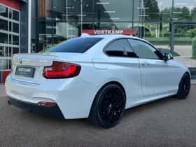 BMW 2-Serie (2016) thumbnail 5