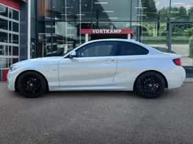 BMW 2-Serie (2016) thumbnail 8