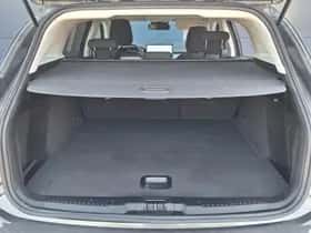 Ford Focus (2024) thumbnail 19