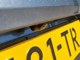 Opel Insignia (2021) thumbnail 33