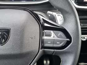 Peugeot 2008 (2024) thumbnail 29