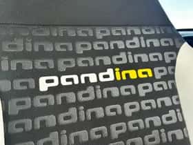 Fiat Pandina (2026) thumbnail 19