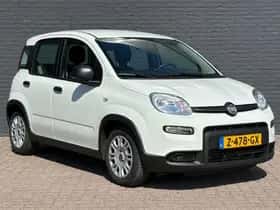 Fiat Panda (2024) thumbnail 3