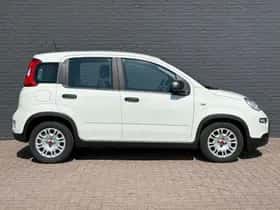 Fiat Panda (2024) thumbnail 4