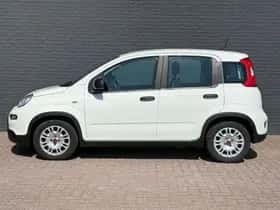 Fiat Panda (2024) thumbnail 8