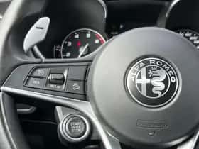 Alfa Romeo Stelvio (2017) thumbnail 19