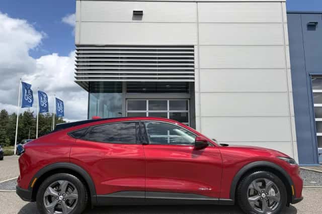Ford Mustang Mach-E (2021) thumbnail 5