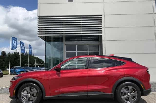 Ford Mustang Mach-E (2021) thumbnail 6