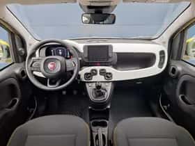 Fiat Pandina (2025) thumbnail 7