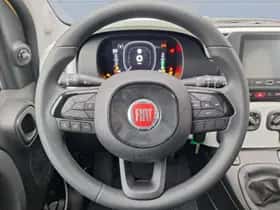 Fiat Pandina (2025) thumbnail 9
