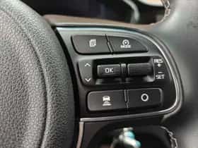 Kia Niro (2020) thumbnail 21