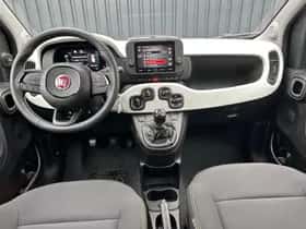 Fiat Panda (2025) thumbnail 13