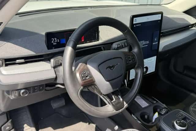 Ford Mustang Mach-E (2022) thumbnail 9