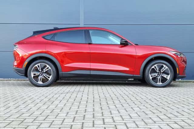 Ford Mustang Mach-E (2026) thumbnail 4