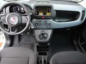 Fiat Panda (2025) thumbnail 12