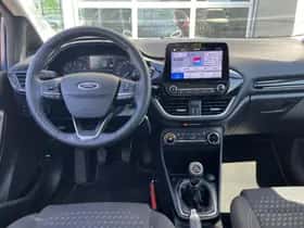 Ford Fiesta (2021) thumbnail 10