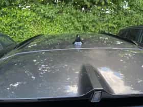 Opel Astra (2025) thumbnail 42