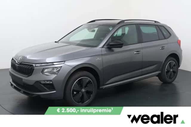 Škoda Kamiq (2026) thumbnail 1