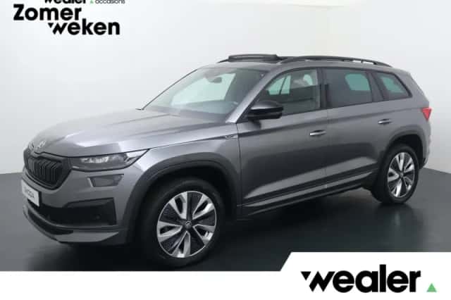 Škoda Kodiaq (2023) thumbnail 1