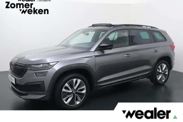 Škoda Kodiaq (2023) thumbnail 1