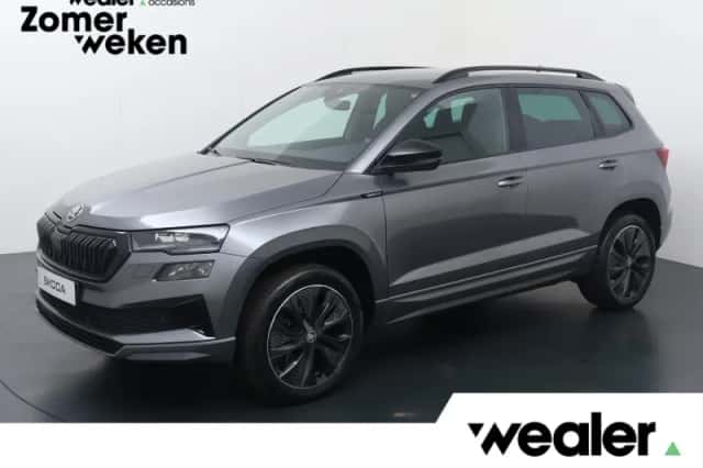 Škoda Karoq (2025) thumbnail 1