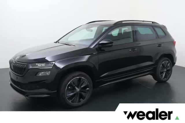 Škoda Karoq (2026) thumbnail 1
