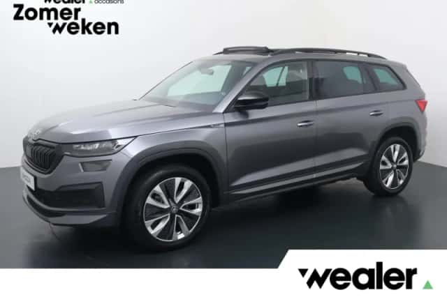 Škoda Kodiaq (2023) thumbnail 1