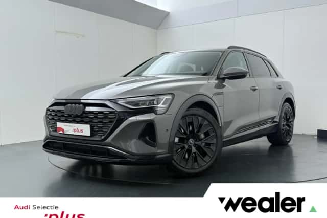 Audi Q8 e-tron (2023) thumbnail 1