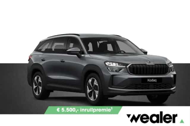 Škoda Kodiaq (2026) thumbnail 1