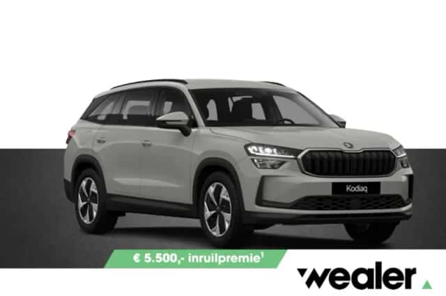 Škoda Kodiaq (2026) thumbnail 1