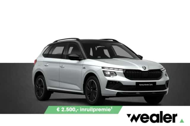 Škoda Kamiq (2027) thumbnail 1
