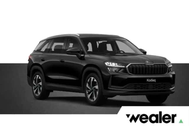 Škoda Kodiaq (2026) thumbnail 1