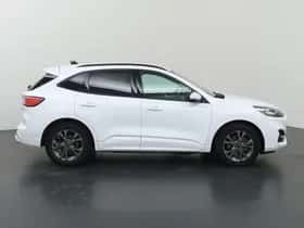 Ford Kuga (2020) thumbnail 6