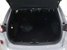 Ford Kuga (2024) thumbnail 41