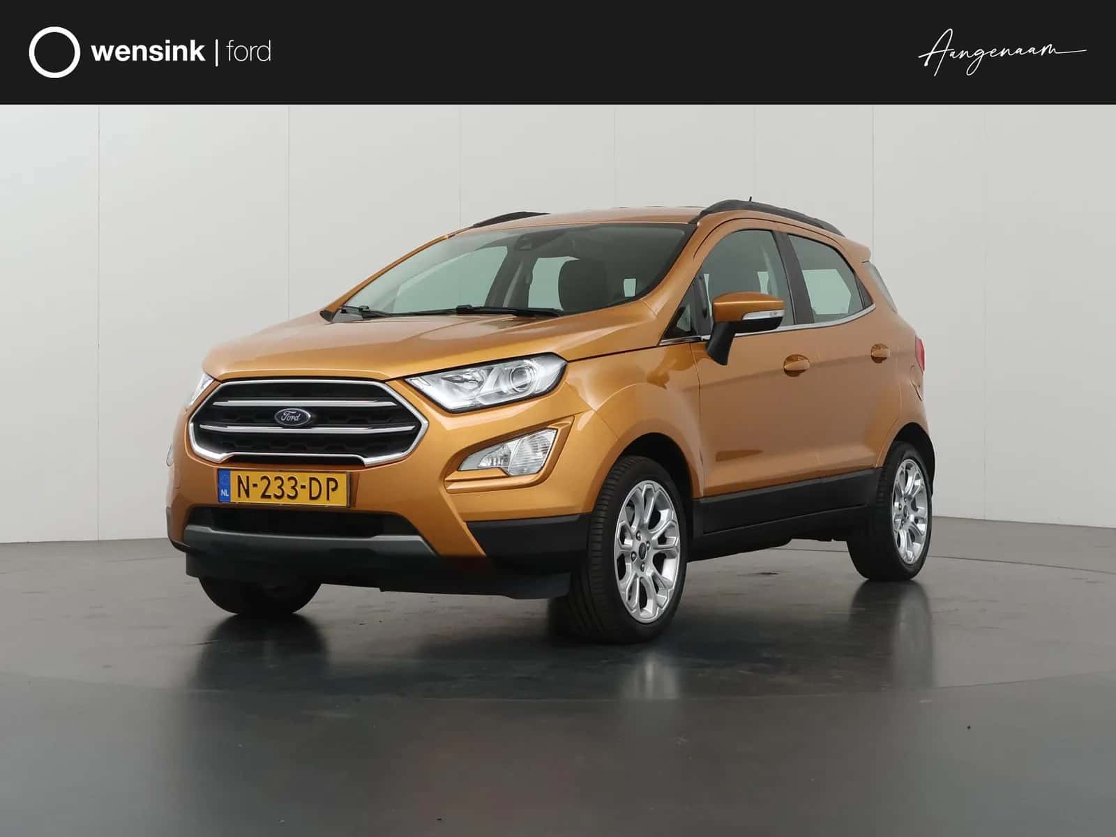 Ford EcoSport (2021) — foto 1