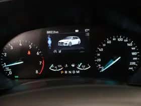 Ford Focus (2023) thumbnail 12