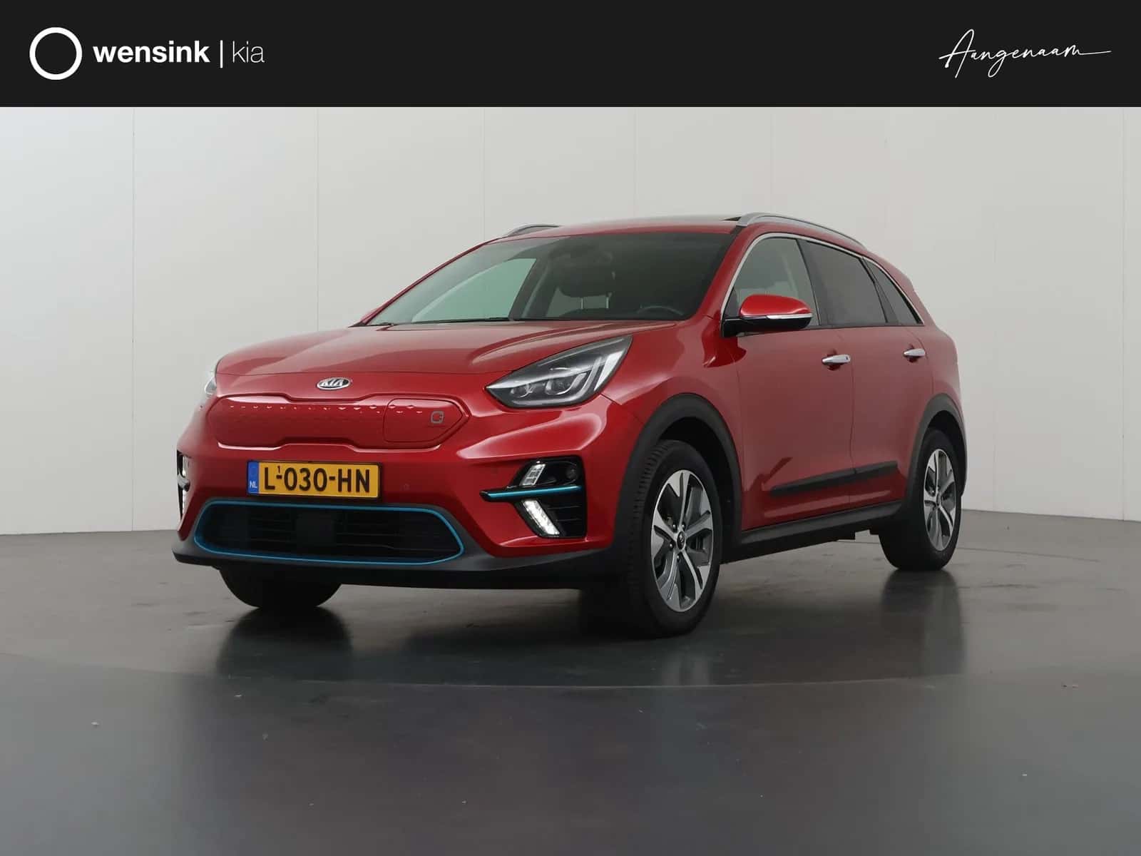 Kia Niro EV (2021) — foto 1