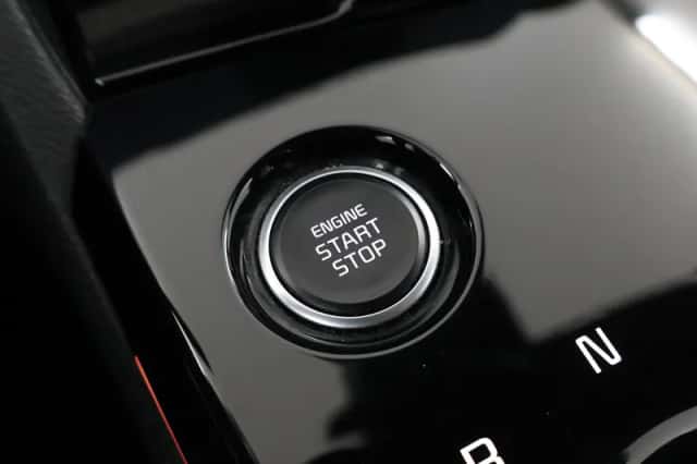 Kia Sportage (2024) thumbnail 30